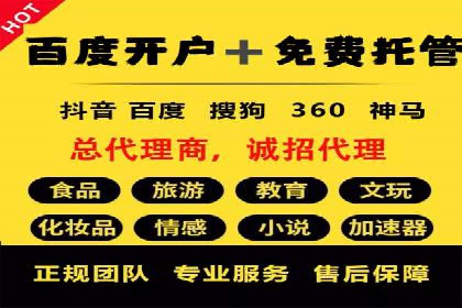 SEM专员案例：数据分析与优化
